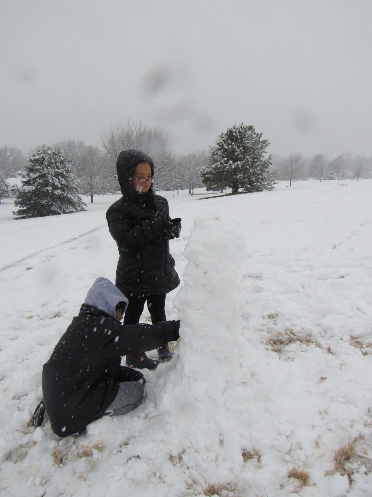 Sledders greet Sunday snows - Vimarsana News