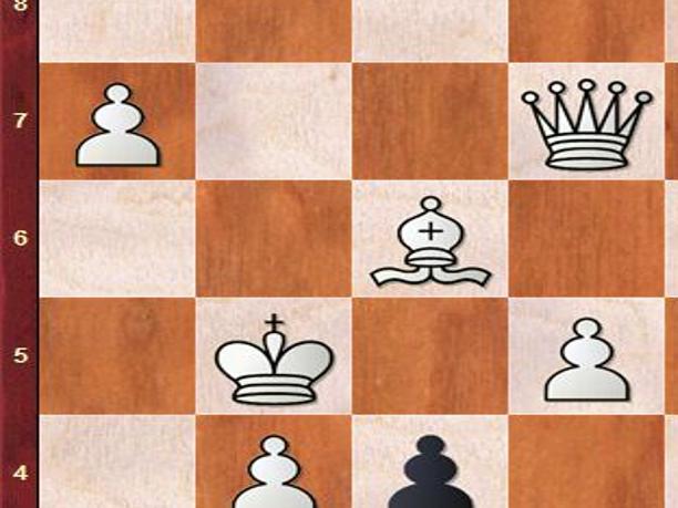 Chess World Cup 2023: Praggnanandhaa checks Carlsen in first game