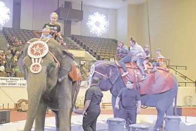 Circus Of Thrills Brings Animals Spectacle News Muskogeephoenix Com