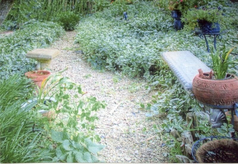 Gardening with Micki: Home, garden are paradise | Lifestyles