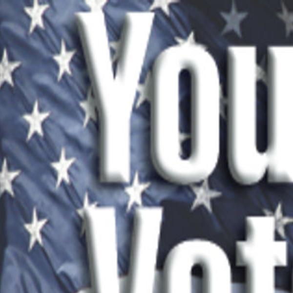 State Election Board Offers Tips Reminders For Voters News Muskogeephoenix Com