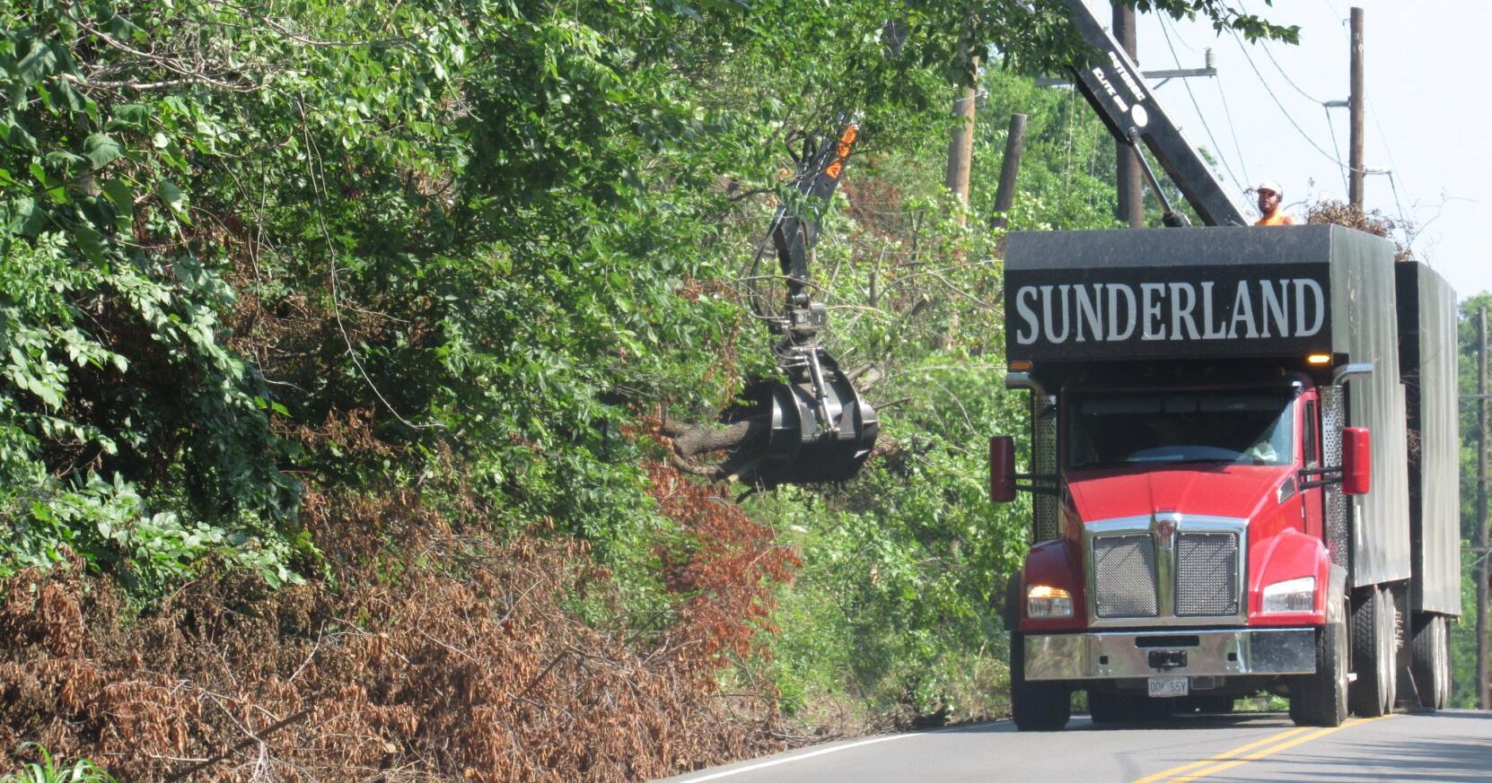 City will pick up tree limbs from June storms - Vimarsana News
