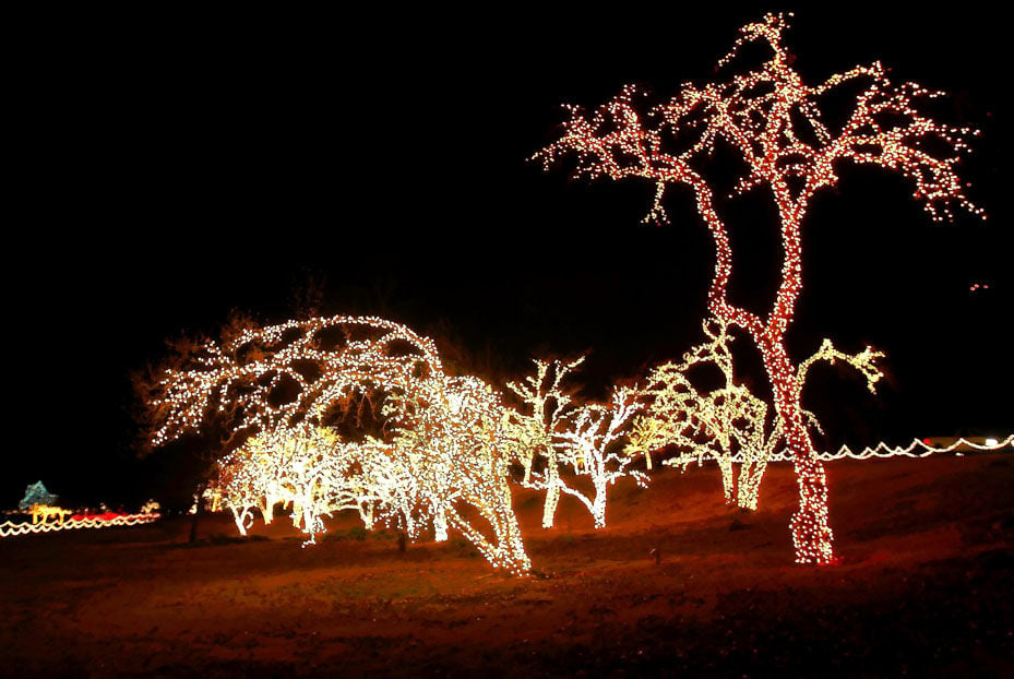 Of Hours Muskogee Lights Garden