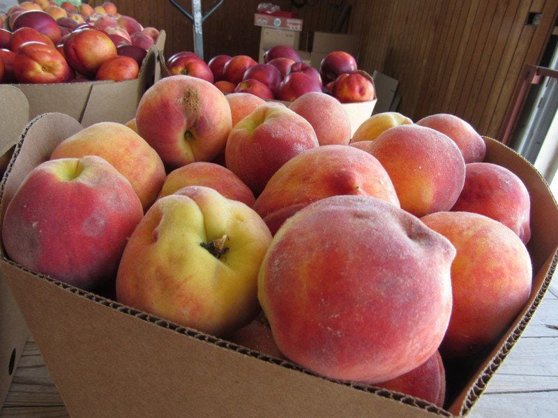 Porter Peach Festival on tap this weekend Lifestyles