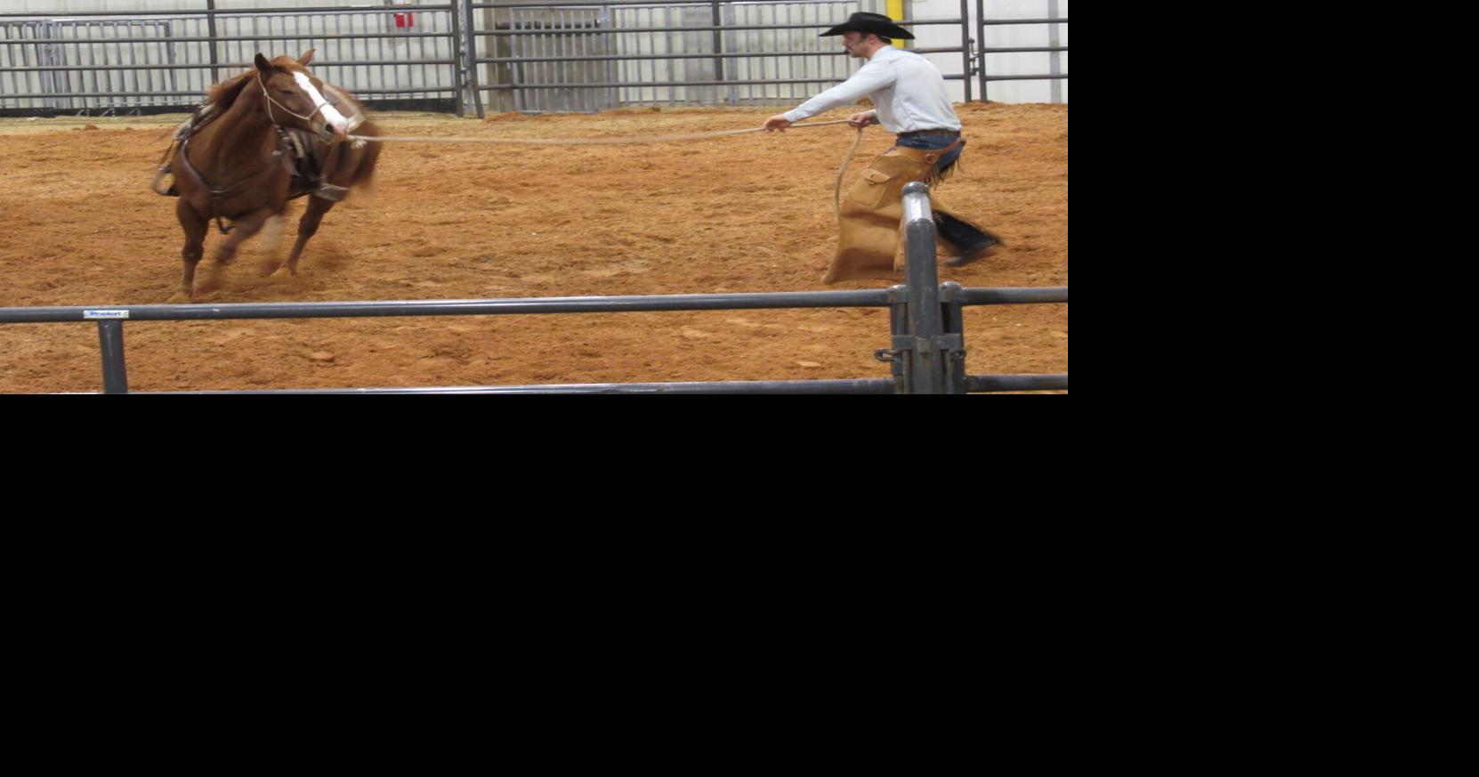 Farm Expo promotes horses, horsepwower