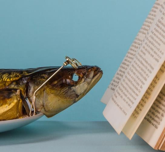 A dried-out, eyeless fish wearing glasses and reading a book