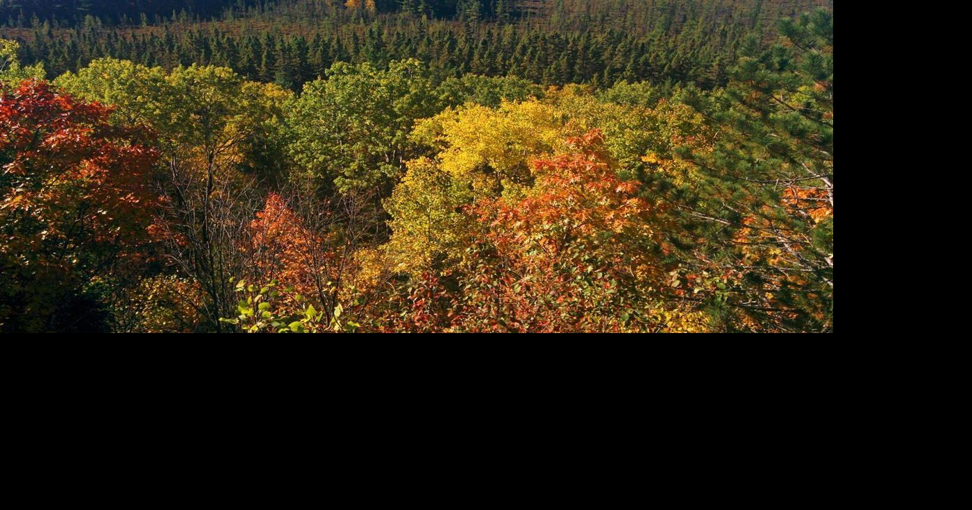 Two spots to visit to see fall colours in Ontario