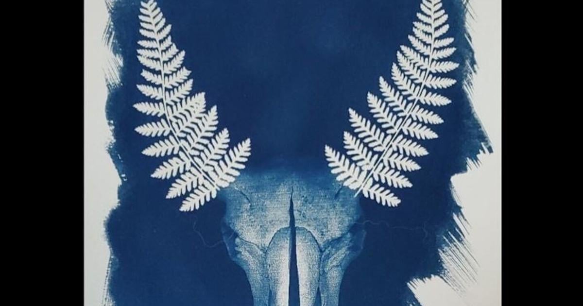Cyanotype Development What are cyanotypes?