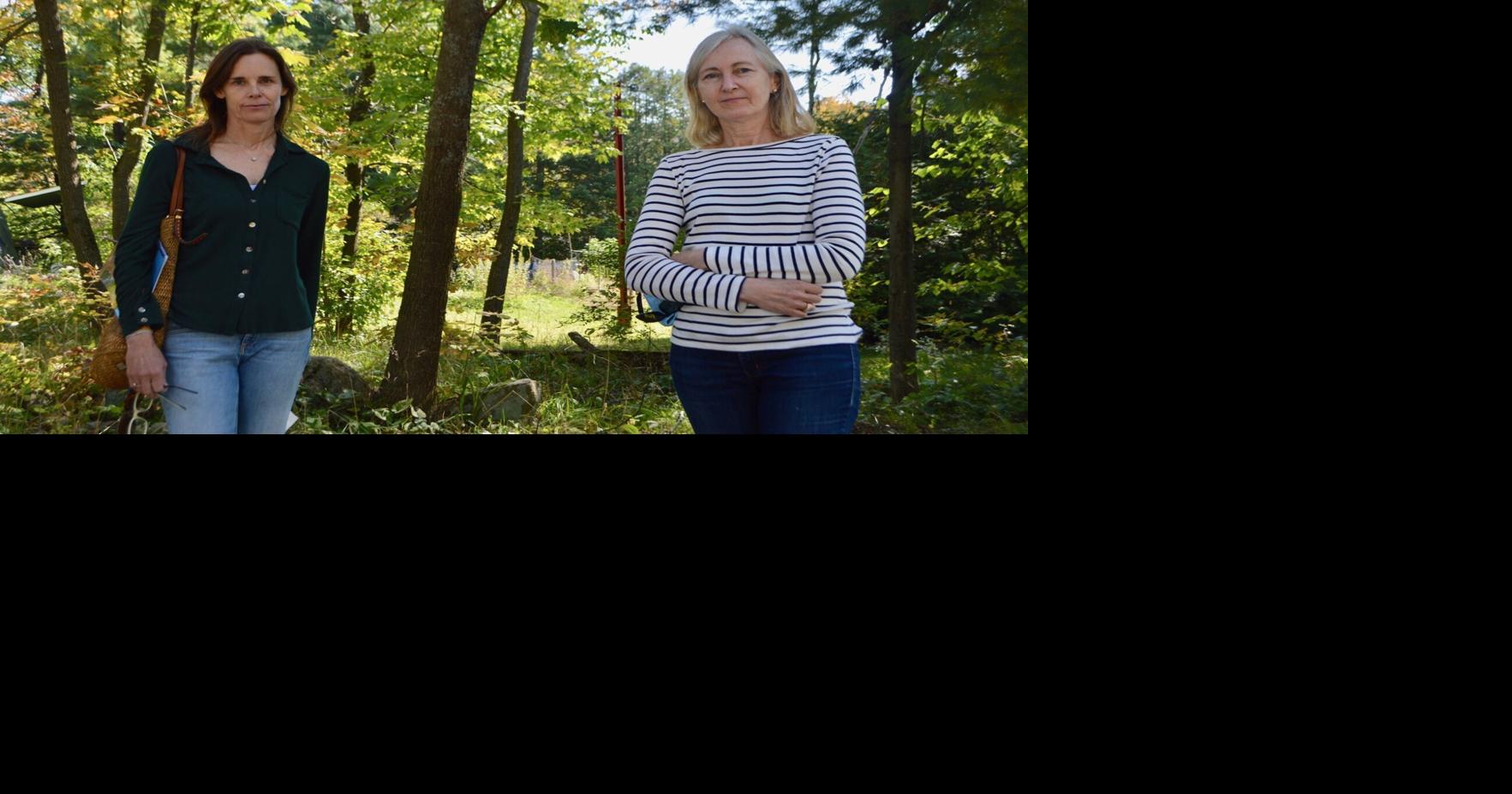 development public consultations coming in October