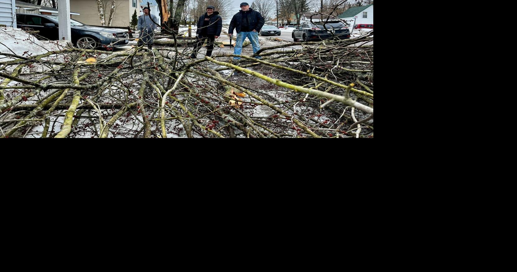 Bracebridge and Gravenhurst hit hard by ice storm damage