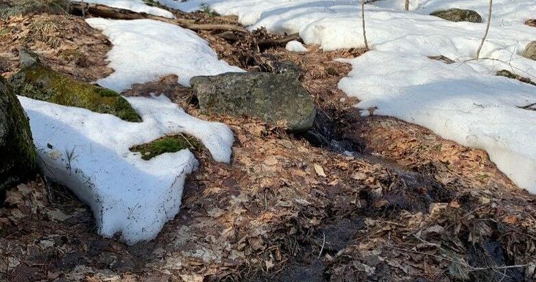 The landscape the Muskoka Watershed Council works to protect