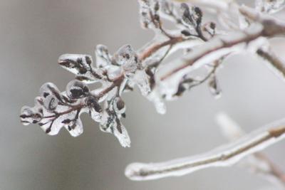 Snowflakes: Not Just Frozen Rain