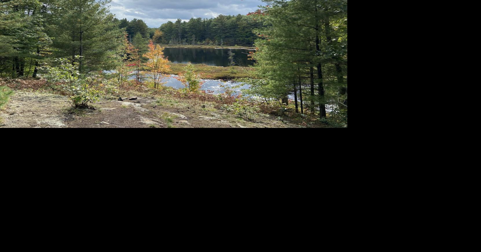New 173-acre nature reserve added to Muskoka Conservancy protected lands