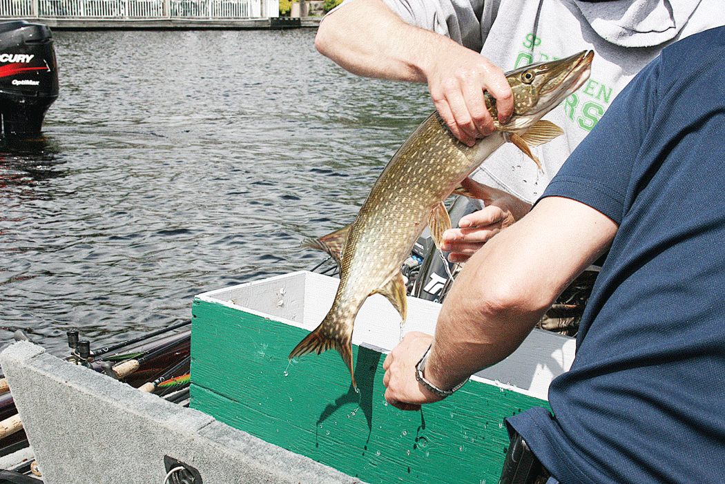 4th Annual Kids Fishing Tournament Reel in the Fun! at Lake