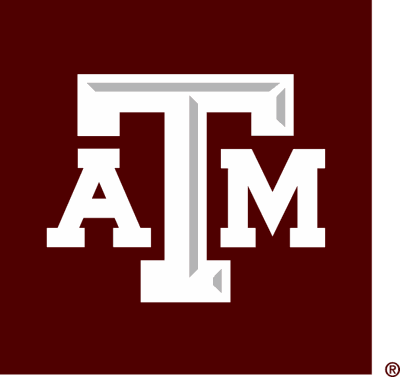 A&M's ninth-inning rally allows it to beat Tech in 16