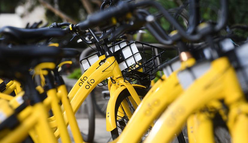 ofo bike hire