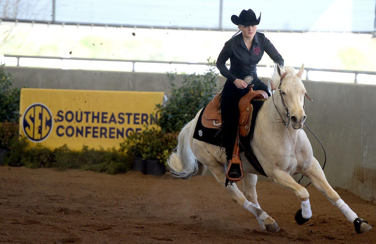 SEC Equestrian Championship Gallery