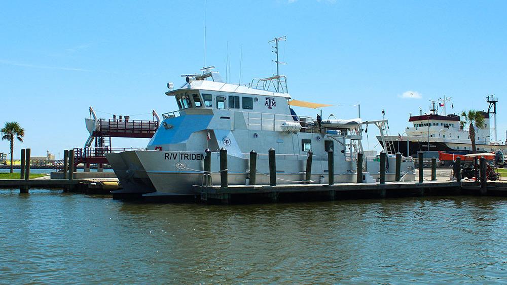 Texas A M Galveston Adds 2 5 Million Research Vessel Trident Texas A M Galveston Adds 2 5 Million Research Vessel Trident