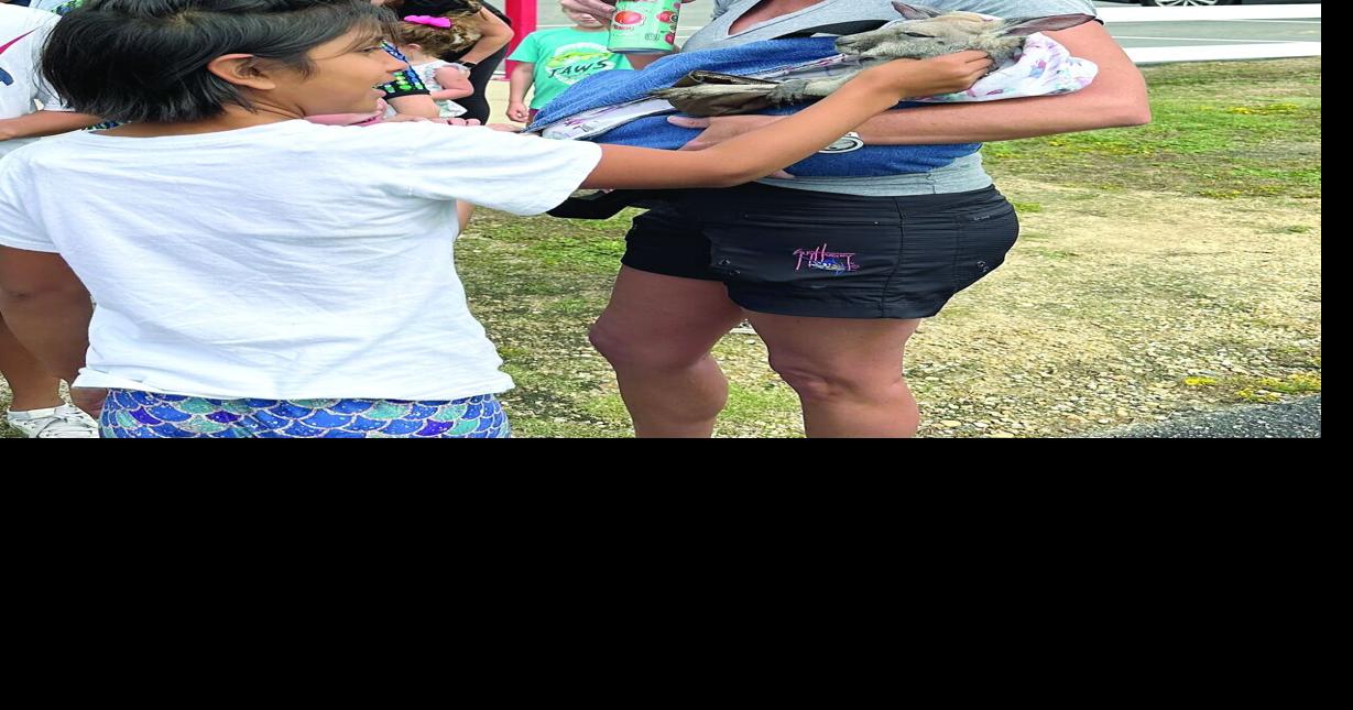 Rockism for Autism school party is Saturday | Community Events ...