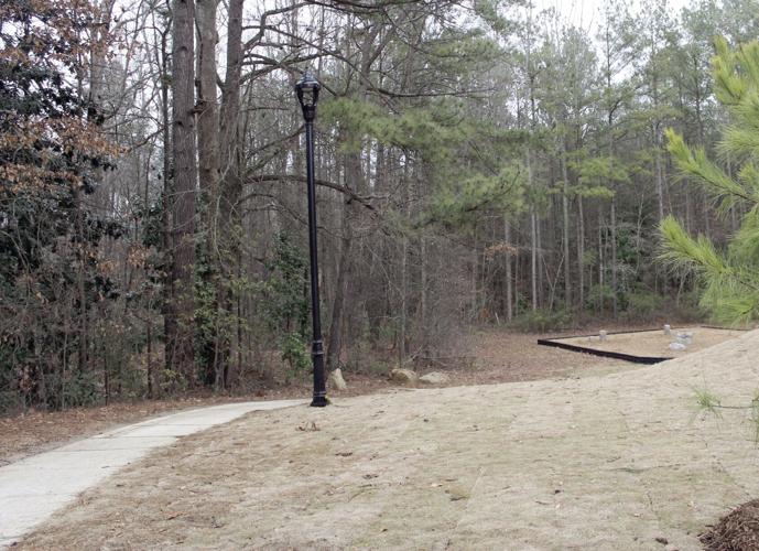 New park opens in Lillington News