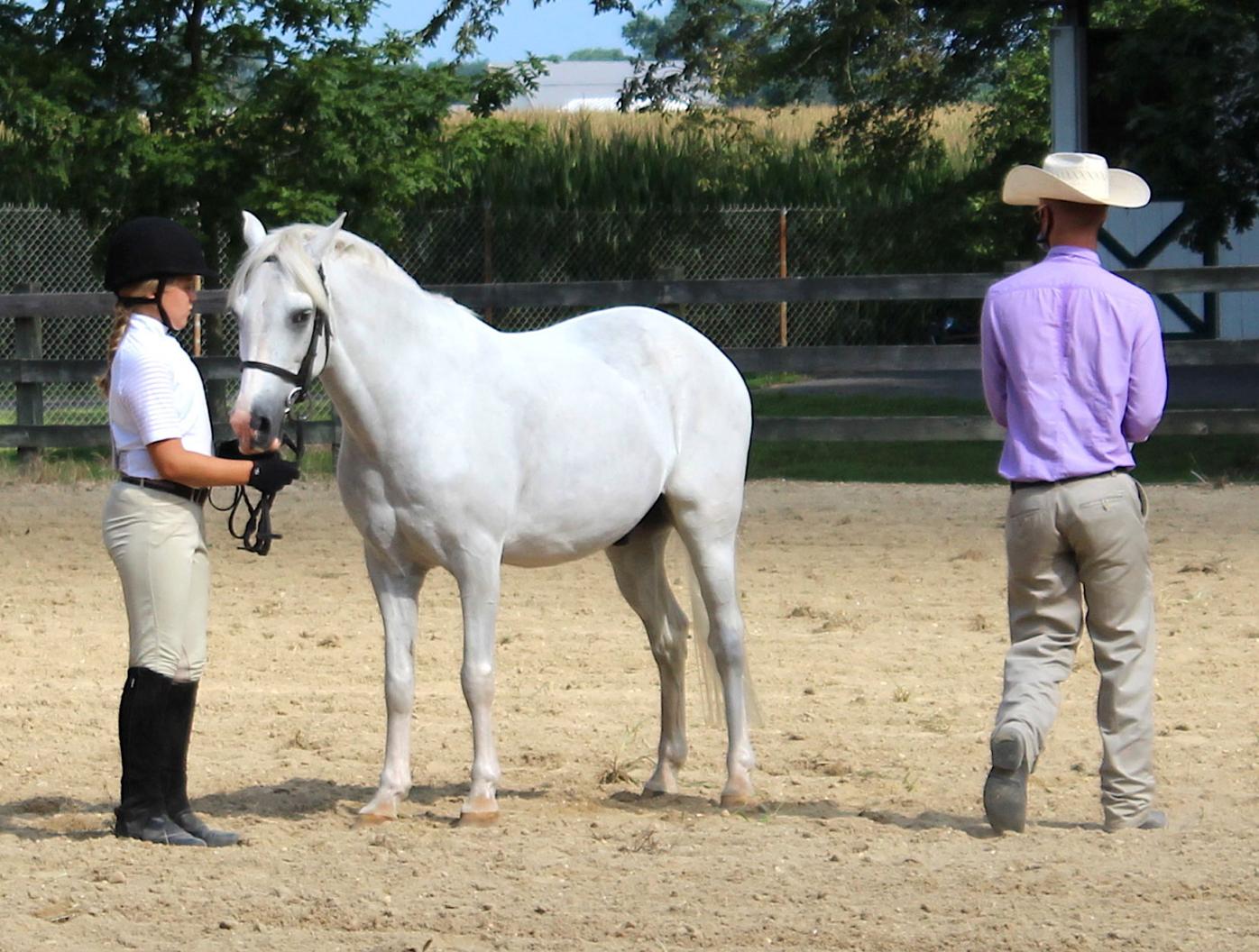 New equestrians rise at QA Youth English Horse Show Youth