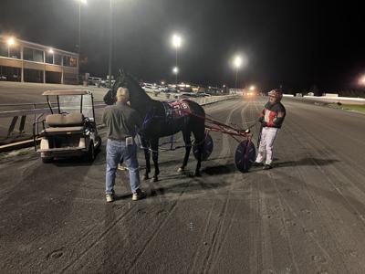 Dixon's Jericho Hanover is an emerging star at Rosecroft