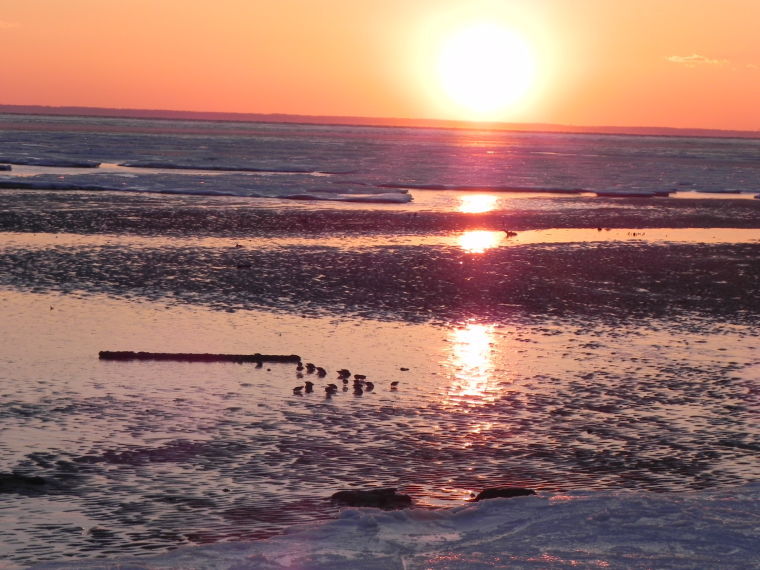 Wind And Ice Make For Extreme Low Tide 