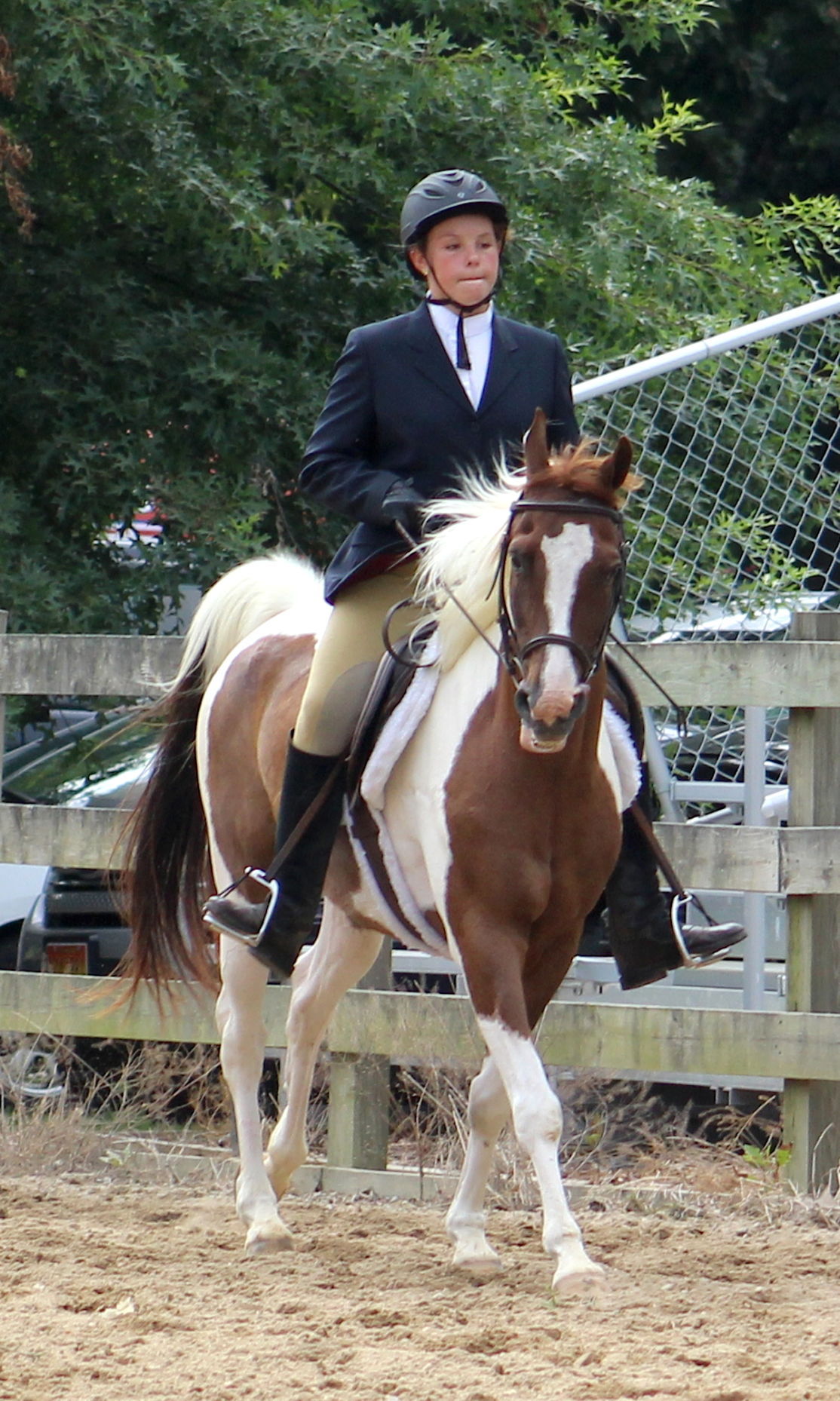 QA Fair English Horse Show News