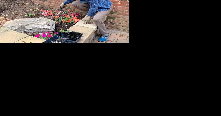Dorchester Garden Club gives back to Cambridge Library - Vimarsana News