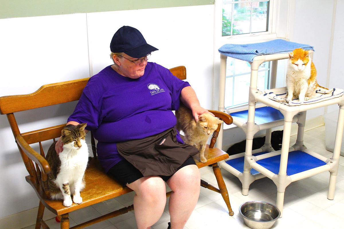 Chesapeake Cats And Dogs Hosts Flea Less Fundraiser News