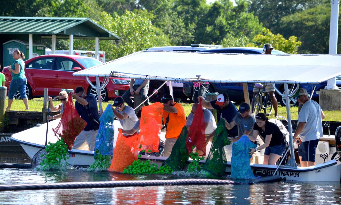 Federalsburg Frog Fest celebrates a 'Hoppin' Good Time' News