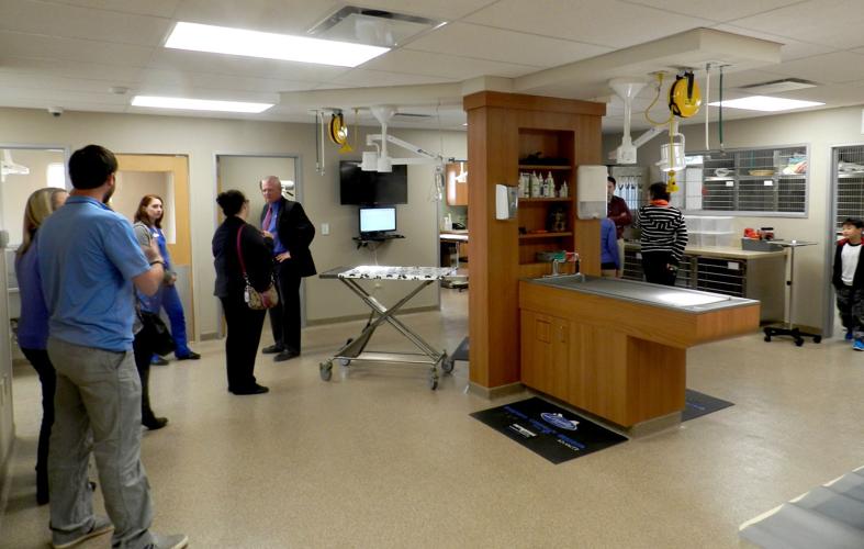 Queenstown Veterinary Hospital patients to new facility News