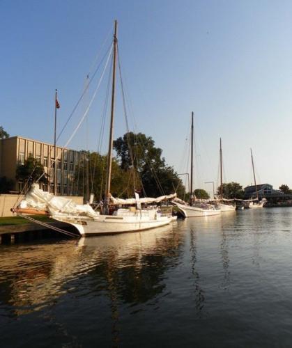 Skipjack Ride Choptank Heritage Skipjack Race set for Sept. 21 | Life ...