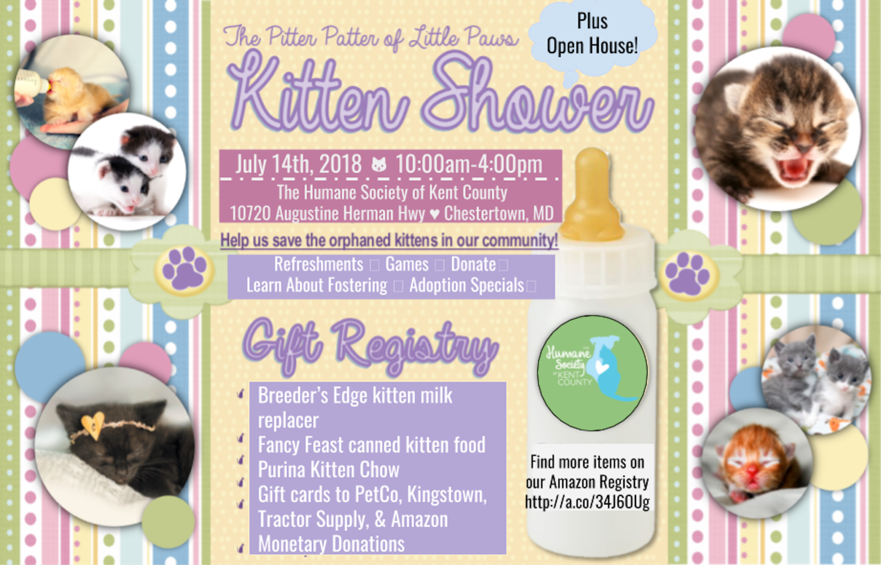 tractor supply kitten milk