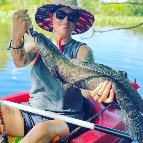 Snakeheads thriving on Eastern Shore, endangering local ecosystems