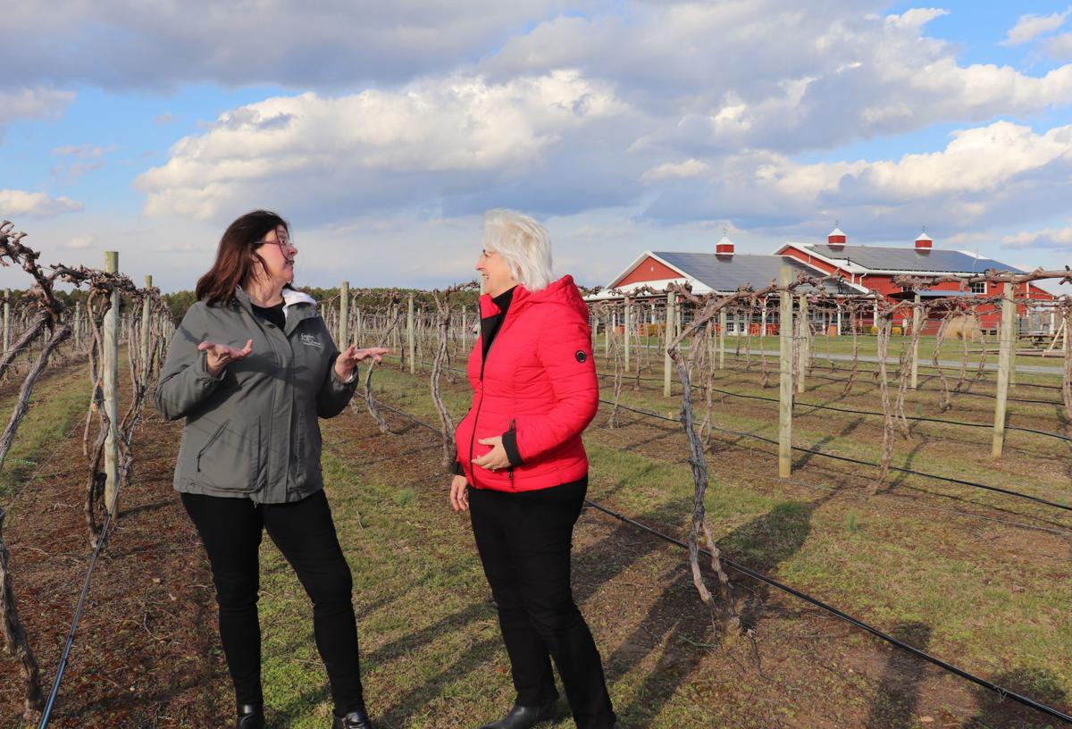 Layton S Chance Kicks Off Maryland Wine Month With Certification As Maryland S First Only Craft Winery News Myeasternshoremd Com
