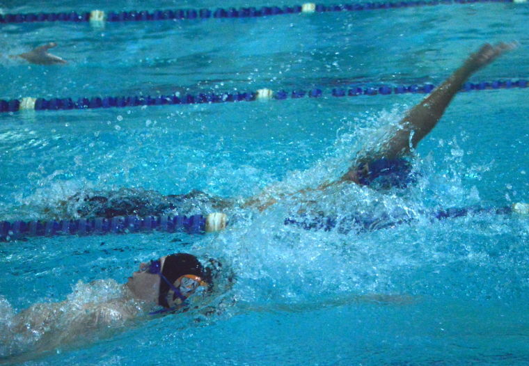 Swimming Photo Gallery: Easton at Cambridge-South Dorchester ...