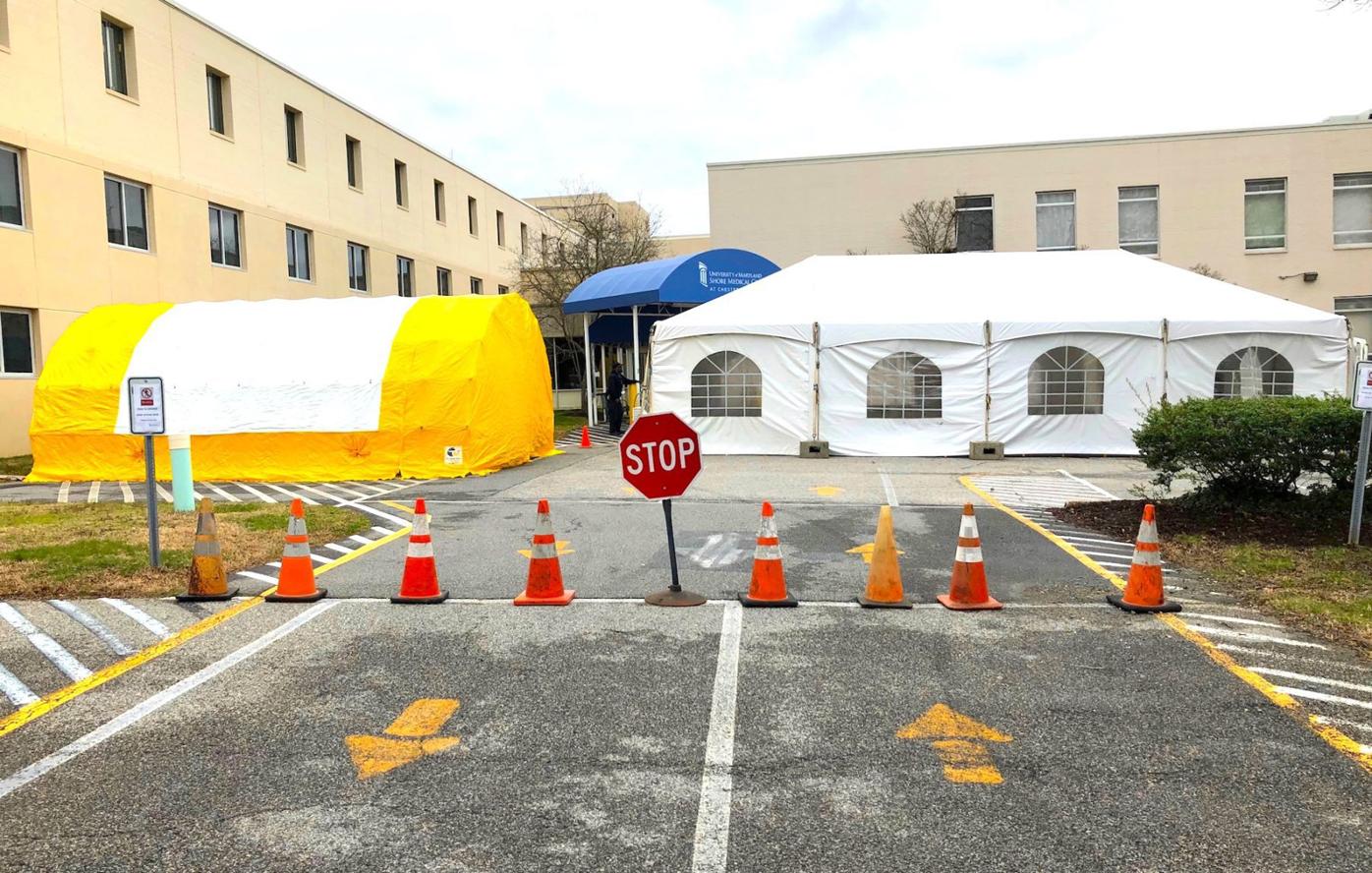 Um Shore Regional Health Sets Up Triage Tents As Covid 19 Preparedness Emergency Notice Myeasternshoremd Com