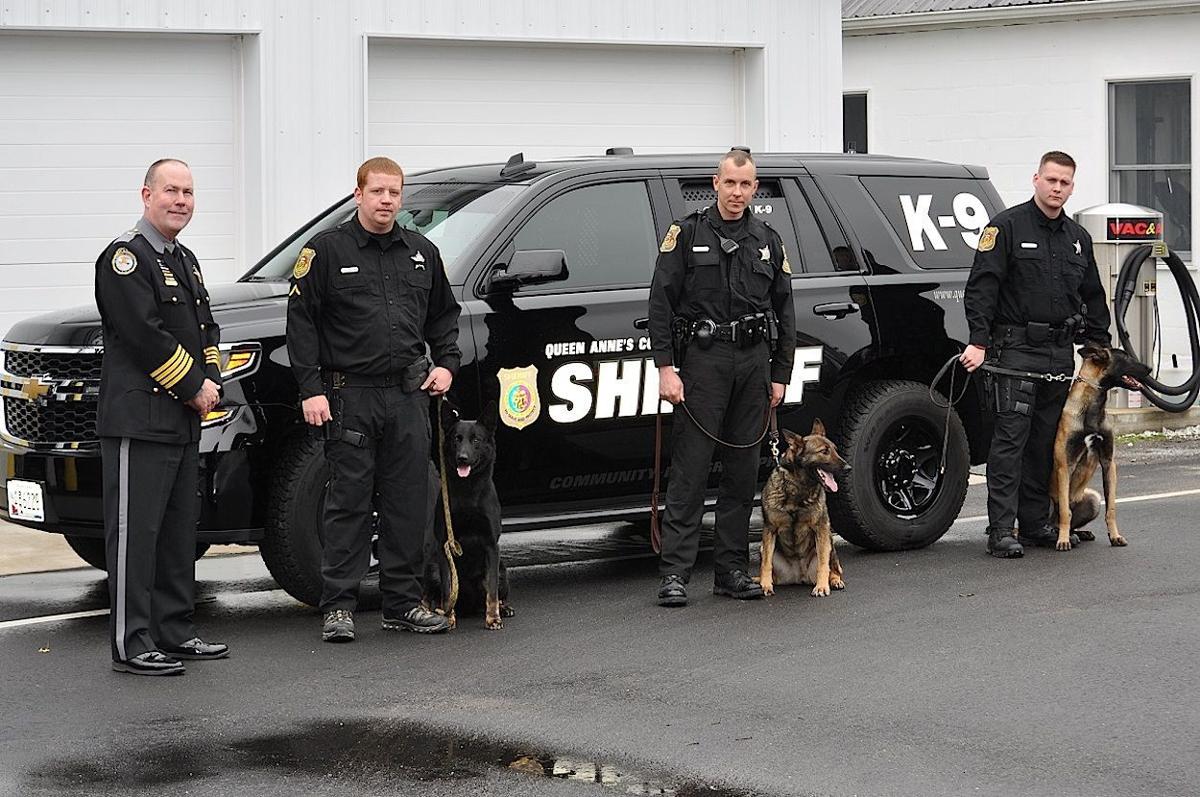 Sheriff #39 s K 9 program expands Queen Annes County myeasternshoremd com