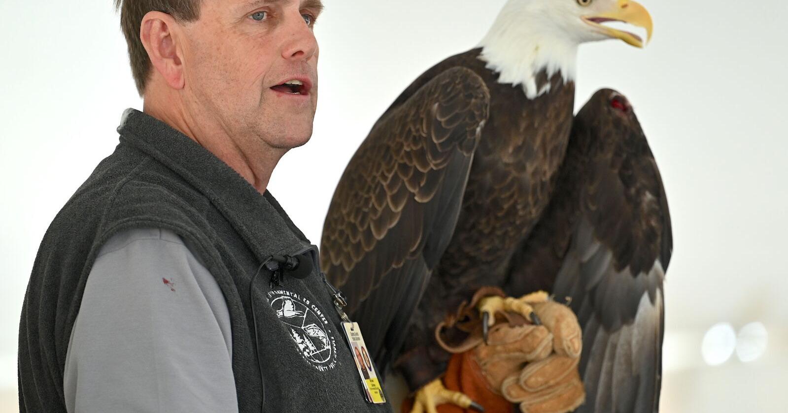 Eagle Festival highlights all that Blackwater has to offer - Vimarsana News