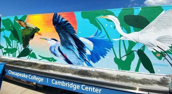 mural painting bird