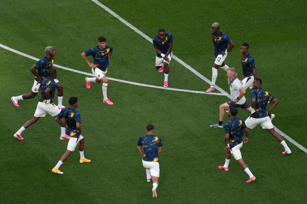Ecuador Ivory Coast WCup Soccer