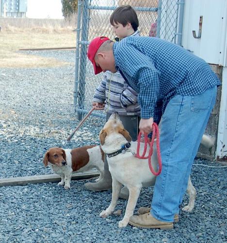 Caroline Humane Society Hosts Rabies Clinic News 2069