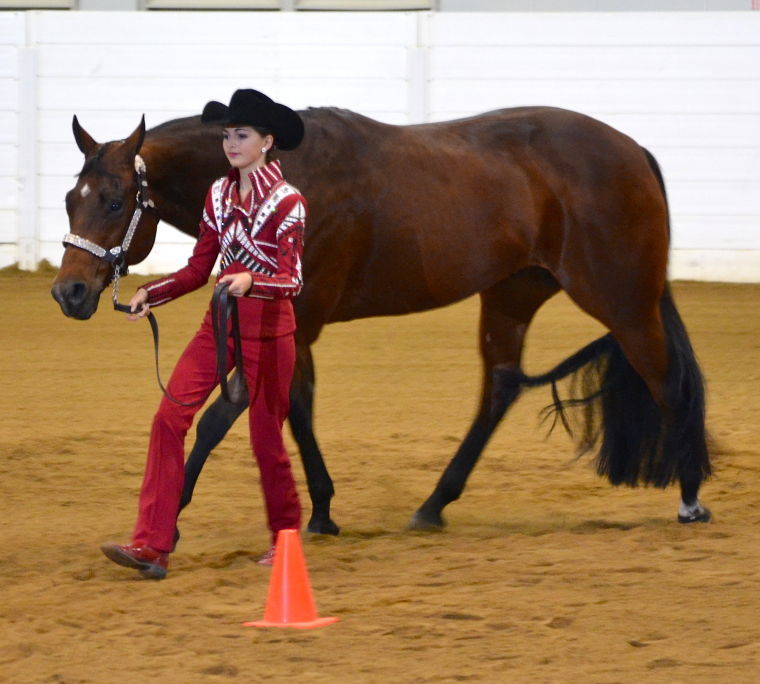 Quarter Horse Congress 2014 Featured