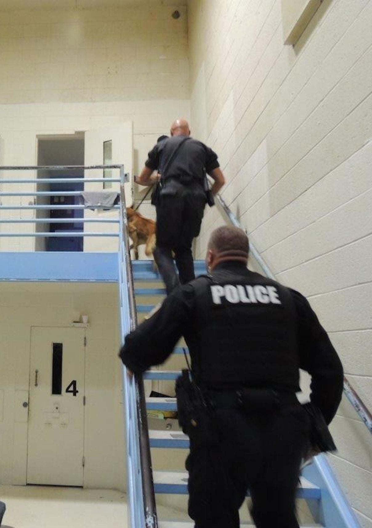 Agencies conduct search of QA Detention Center Queen Annes County