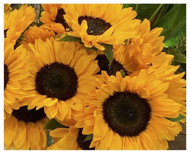 Federated Garden Clubs Of Maryland Presents Harvest Highlights A National Garden Club Standard Flower Show Community Myeasternshoremd Com