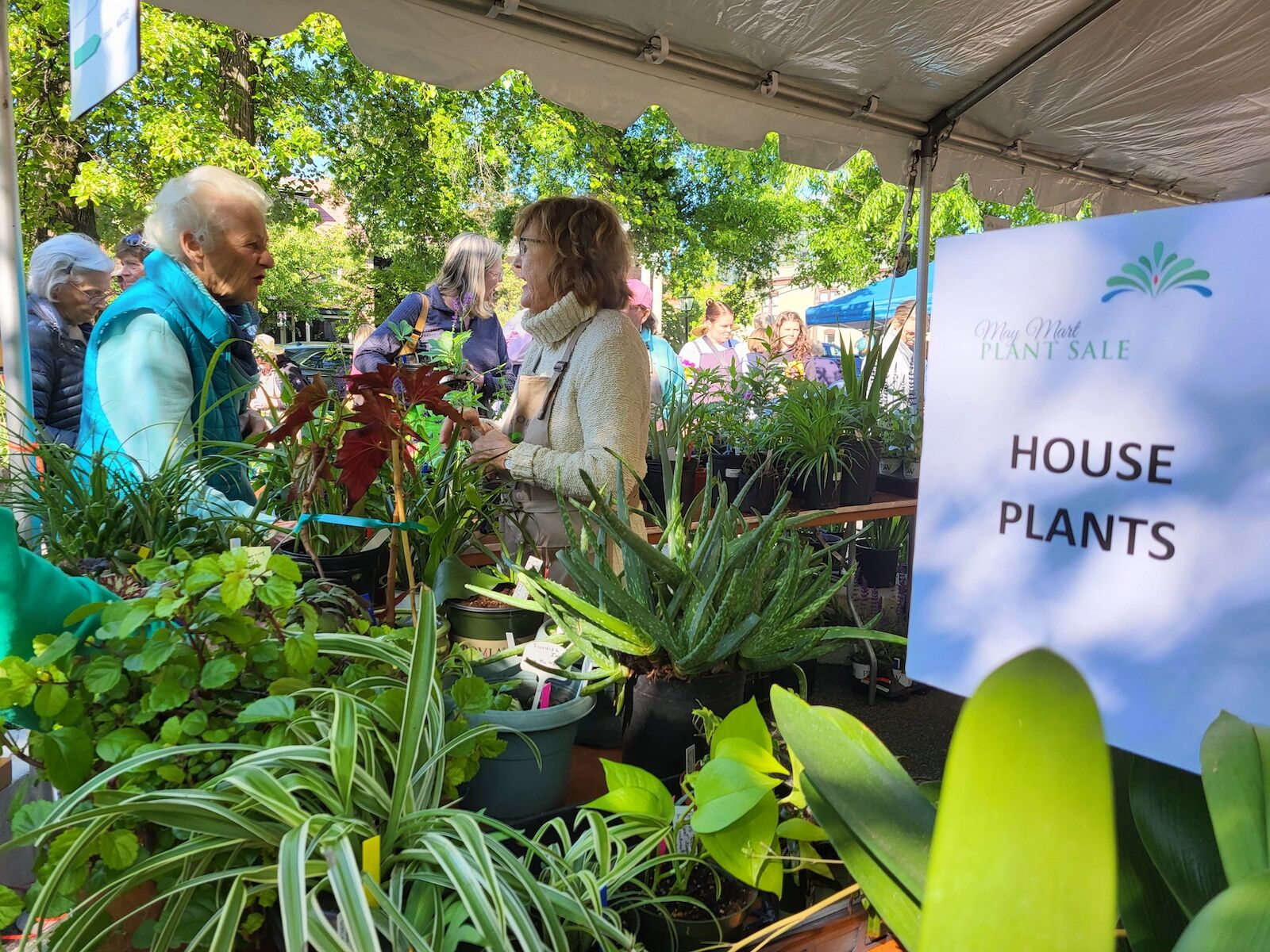 May Mart blooms in Memorial Park | News | myeasternshoremd.com