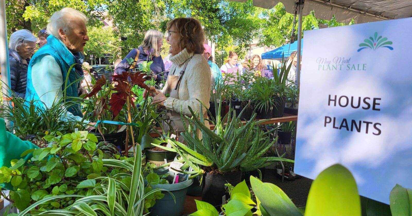 May Mart blooms in Memorial Park - Vimarsana News