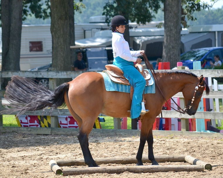 Western Horse Show at QA Fair | Queen Annes County | myeasternshoremd.com