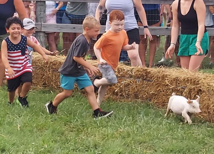 Kent County 4-H Fair celebrates youth, farming and fun | Community ...